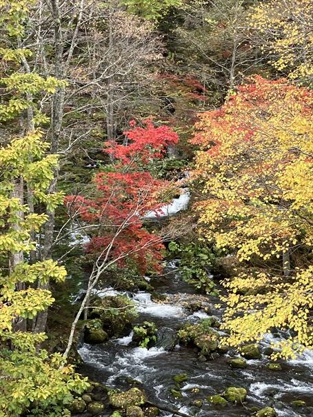 阿寒湖　滝見橋