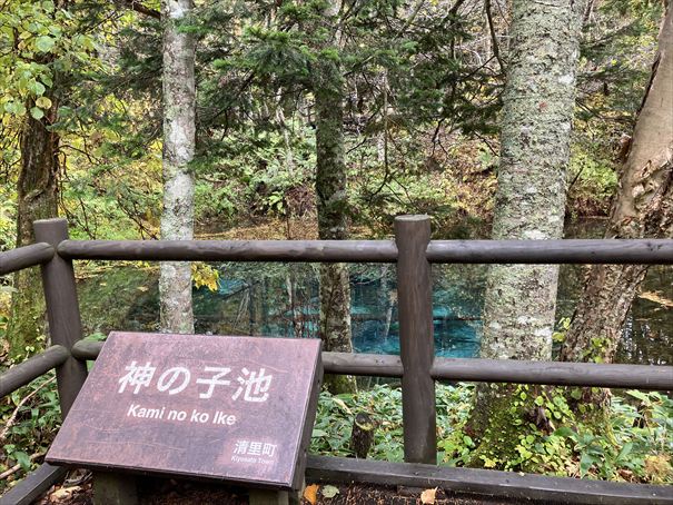 清里町 神の子池