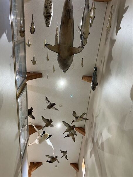 網走　モヨロ貝塚館