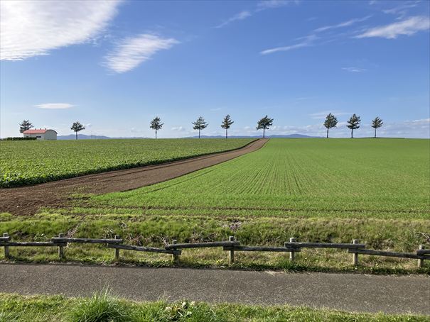 女満別 メルヘンの丘