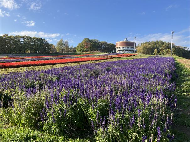 網走 はな・てんと