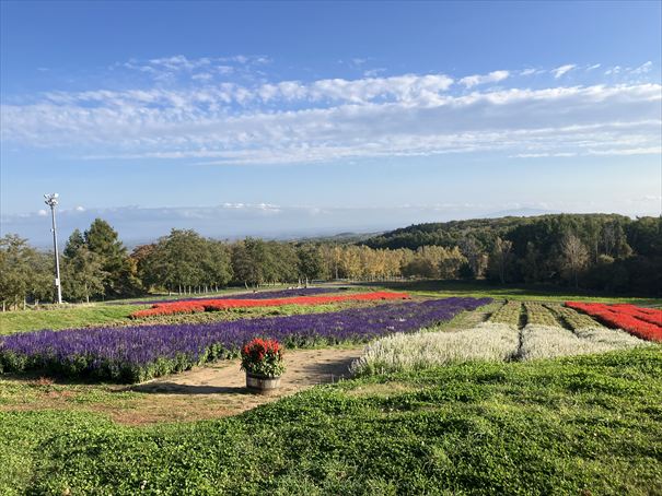 網走 はな・てんと