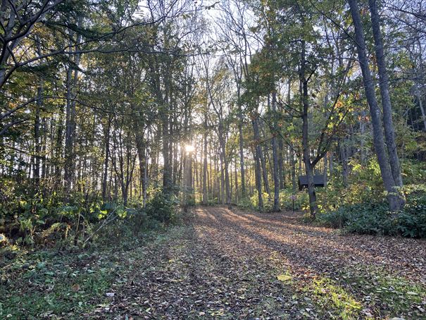 網走 てんとらんど