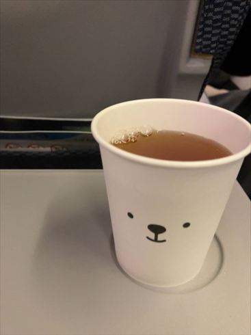 エアドゥ コンソメスープ