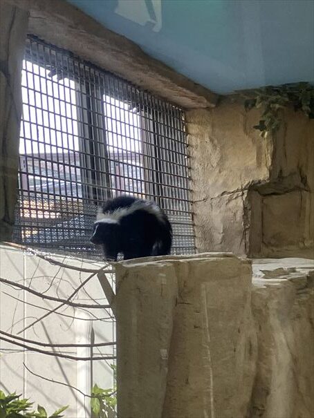 栃木　動物園　那須どうぶつ王国