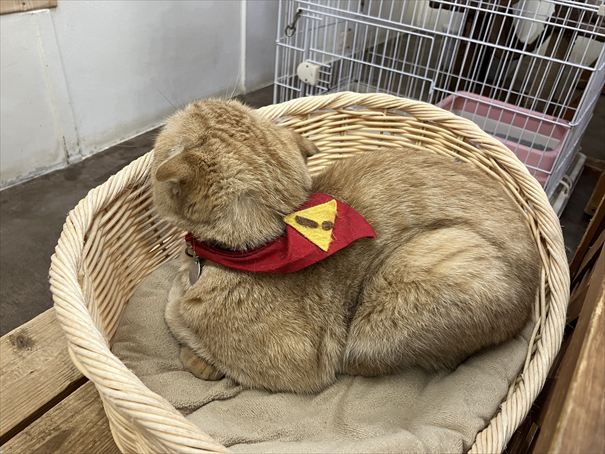 栃木　動物園　那須どうぶつ王国