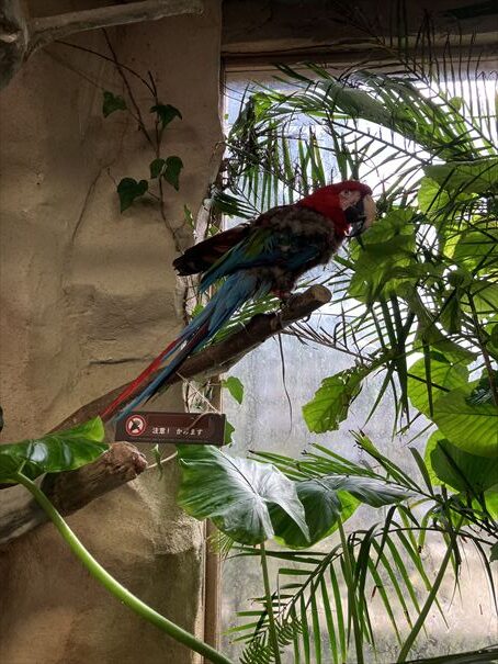 栃木　動物園　那須どうぶつ王国