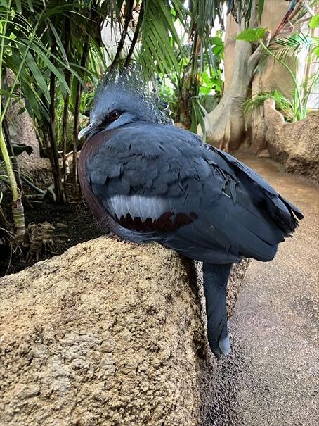 栃木　動物園　那須どうぶつ王国