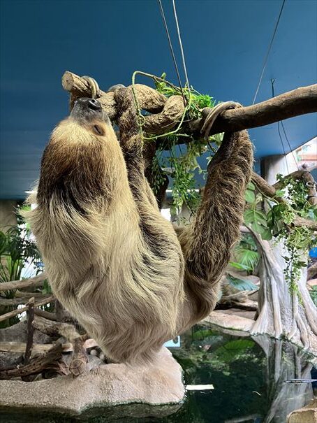 栃木　動物園　那須どうぶつ王国