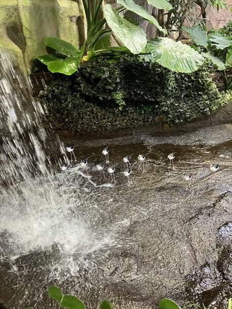 栃木　動物園　那須どうぶつ王国