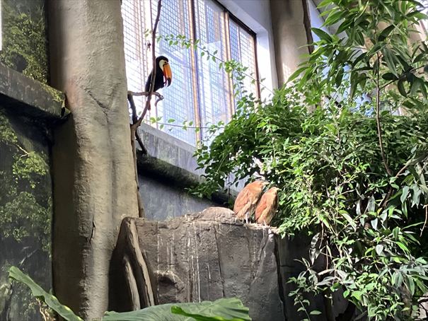 栃木　動物園　那須どうぶつ王国