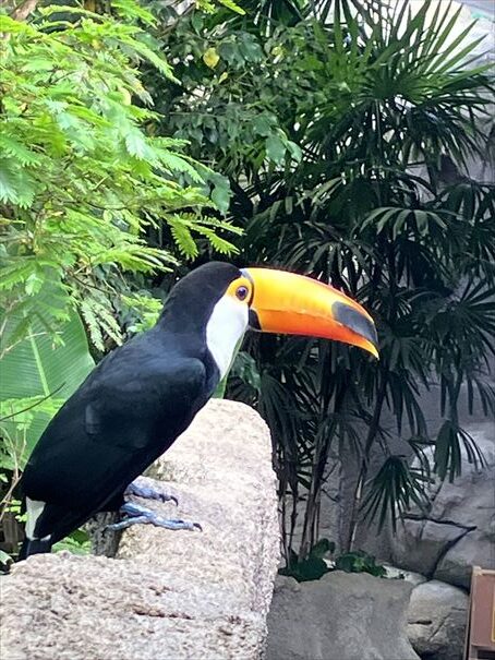 栃木　動物園　那須どうぶつ王国