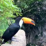 栃木　動物園　那須どうぶつ王国