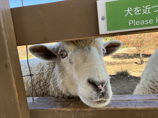 栃木　動物園　那須どうぶつ王国