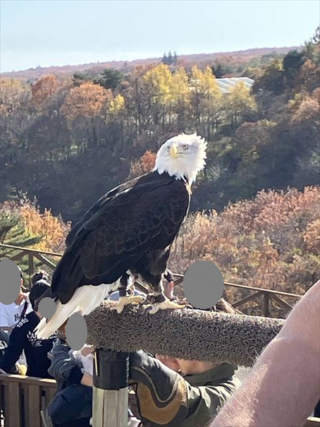 栃木　動物園　那須どうぶつ王国