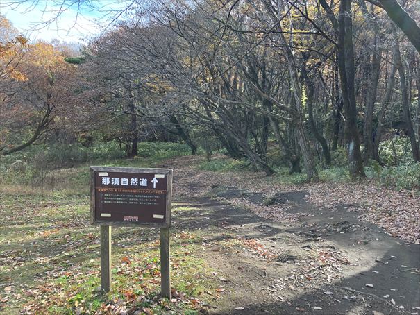 栃木　動物園　那須どうぶつ王国