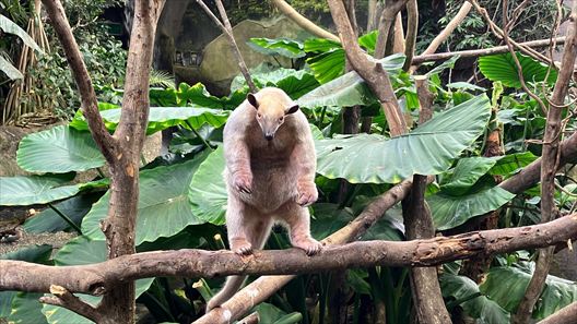 栃木　動物園　那須どうぶつ王国
