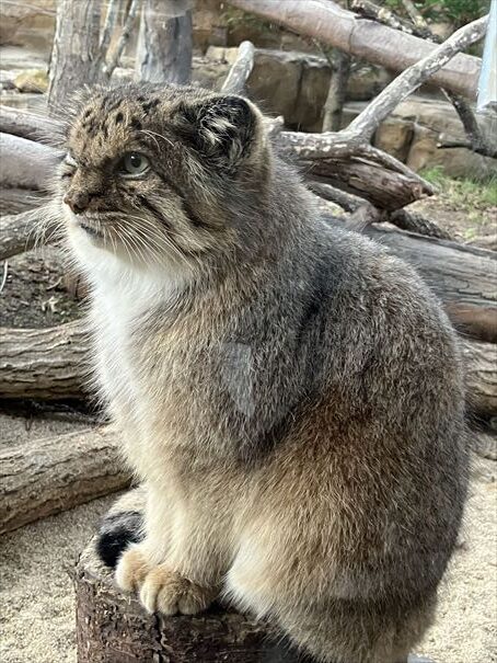 栃木　動物園　那須どうぶつ王国