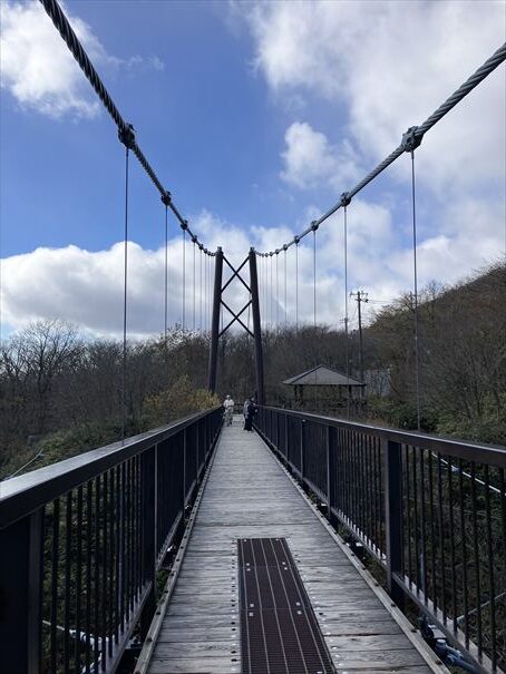 那須高原　つつじ吊り橋