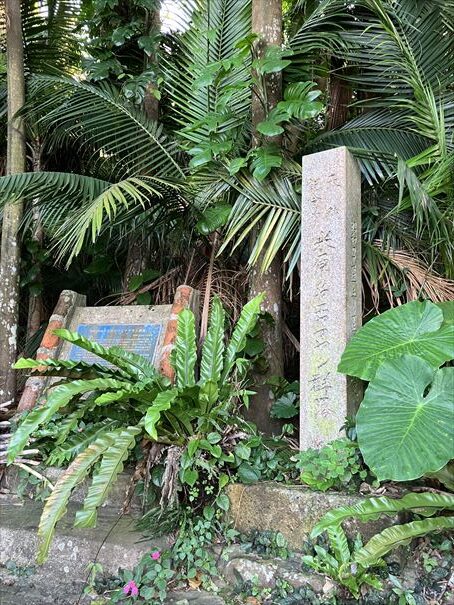 石垣島 ヤエヤマヤシ群落