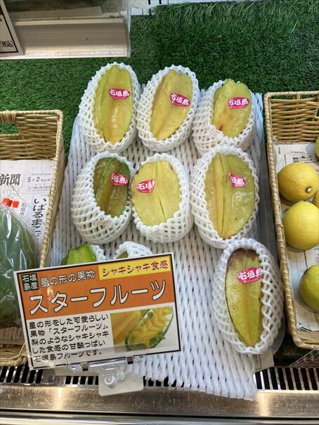 石垣島 ユーグレナモール