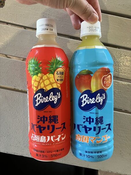 石垣島　ホテルイーストチャイナシー