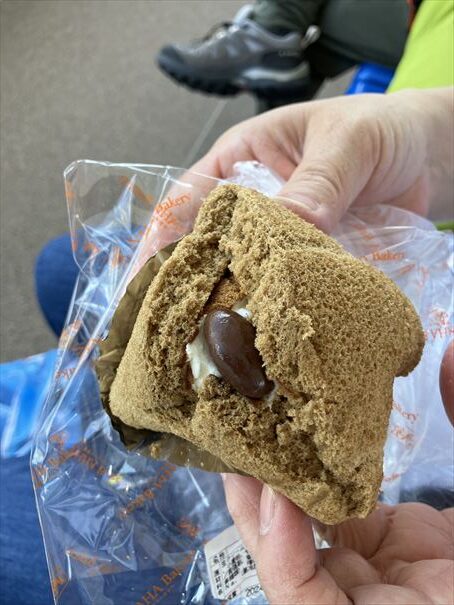 石垣島 モカ