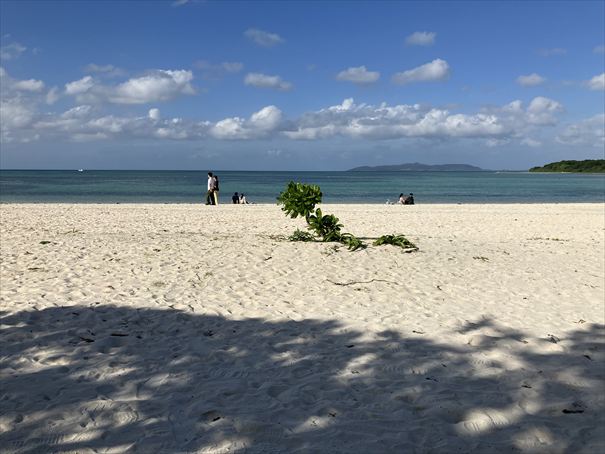 竹富島 コンドイ浜